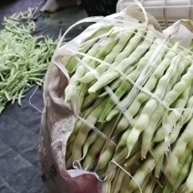 3.16号芸豆大量有货