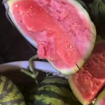 夏邑西瓜诚信代办从业二十余年产地直发无籽西瓜诚信