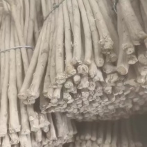 甘肃陇西地产黄芪节子，颜色质量都非常好，味道甜美。
