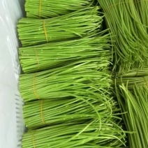 芦蒿精品芦蒿白菜价***********