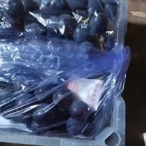北镇市常兴精品小白箱巨峰葡萄
