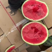 诚信经营甜王西瓜全国产地直发一手货源