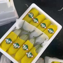 现摘现发羊角蜜甜瓜香甜脆爽汁水爆棚产地直供一件代发原产地实了