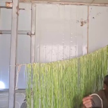 贡菜