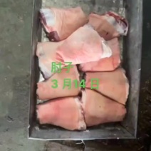 猪前肘