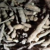 撅麻