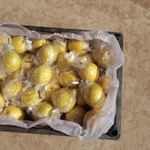 优质正在装车发往东北。产地直销河北昌黎。