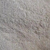 高品质带肉0.8筛麦糠有货，欢迎[勾引]