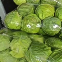 优质甘蓝产地发货，保质保量，可视频看货全国发货