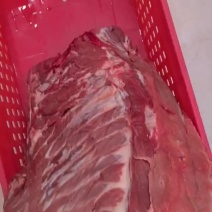 排骨去头去尾精品排骨不带里脊