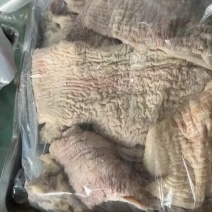 牛碗口肠头大量货