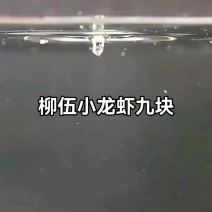 通用柳伍麻辣小龙虾9元每盒。700g*3盒3-5钱新鲜香
