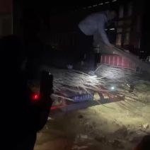 杨树苗107