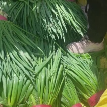 小葱