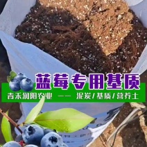 推荐蓝莓基质酸性基质蓝莓专用栽培基质盆栽基质