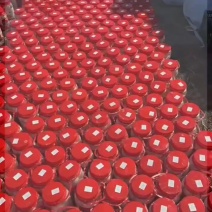 桶装蛋，全网***，80-90大小一桶10个