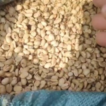 大颗粒咖啡豆