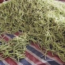 芸豆大跌价