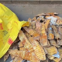 湖南春竹笋干