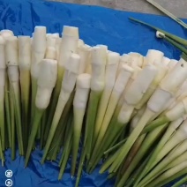 茭白电商货