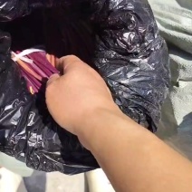 贵州蕨菜