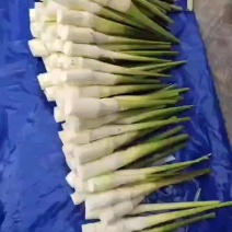 茭白一块钱一斤的电商食堂货大量有现货供应