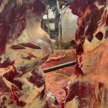纯干黄牛肉