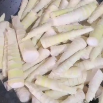 江华贺州姑婆山苦笋已准备上市，量大价格优惠，欢迎采购