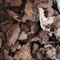 茯苓皮