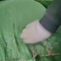 贵州打包稻壳