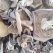 白蘑菇，野生白花脸