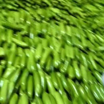酉葫芦