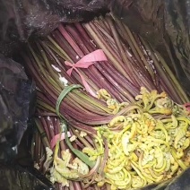 贵州蕨菜甜蕨鲜货苦蕨焦亚青蕨盐巴