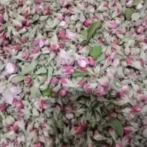 苹果芪