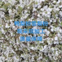 鸭梨花雪花梨花，现摘现加工质量保障。需要请电话联系