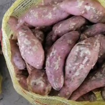 白心红薯电商市场货