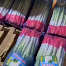 精品大葱有货，用的联系，价格不高，质量保证