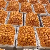 汉要的老板请联系