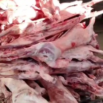 一只起发羊酮体11一斤货真价实大量现货