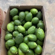 大量广东香水柠檬，次一级果，需要电联