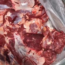 全牛肉牛前牛后肋条牛腩肚腩，精修加工厂专用四六分体