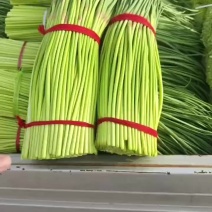 蒜薹，精品干苔，质量好，价格优，代收，代发