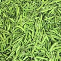 绿色青蚕豆