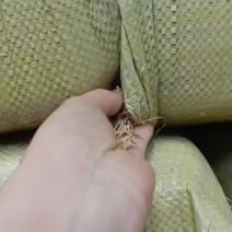 广东云浮压缩稻壳出售