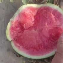 云南麒麟西瓜
