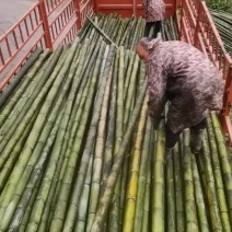楠竹杆