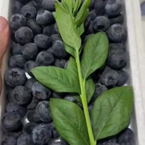 泡沫箱