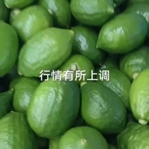 广东香水柠檬靓靓一级果