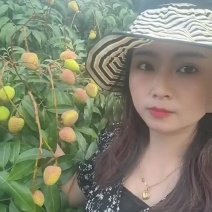 云南元江三月红荔枝上市了，产地直发欢迎合作老板来合作