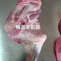 纯干羊前腿一箱起发。17一斤规格齐全大量现货
